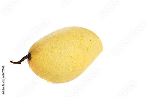 Ripe mangoe on white