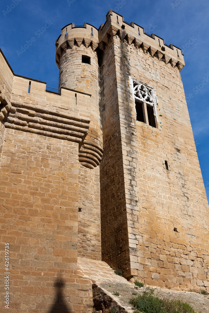 Castillo de Olite, Navarra, España