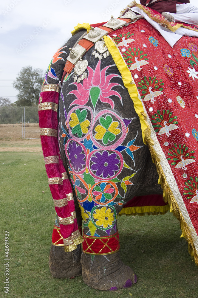 colorful elephant , Holi festival ,Jaipur, Rajasthan, India