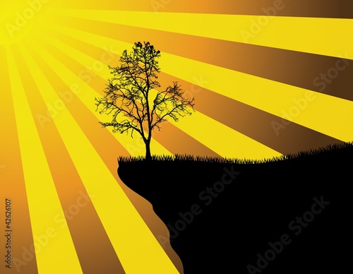Tree Silhouette