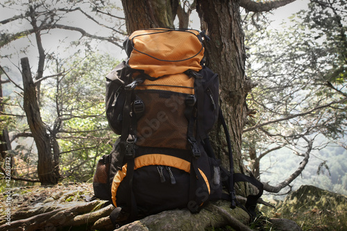 Fotobehang Backpacking In The Woods