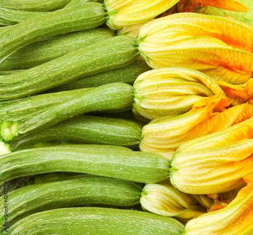 Wallpaper Mural Courgettes or zucchini  with flowers Torontodigital.ca