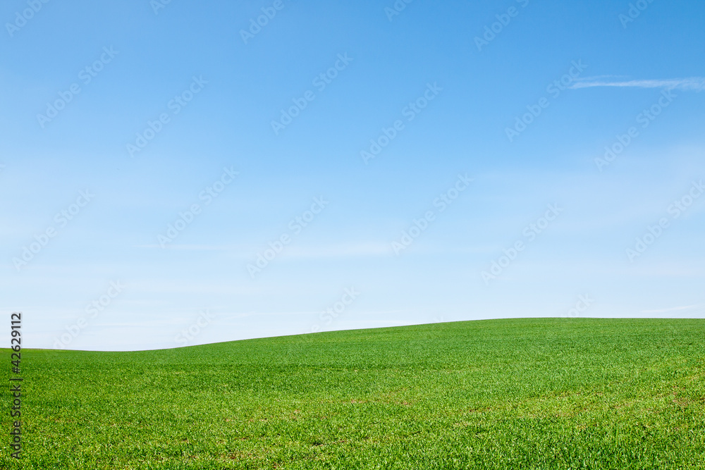 Obraz premium Wiese und Himmel