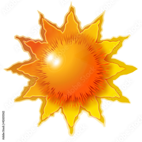 sole