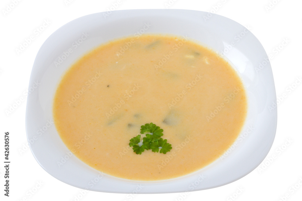 vegetable soup with parsley in white plate vegetable soup with parsley in white plate
