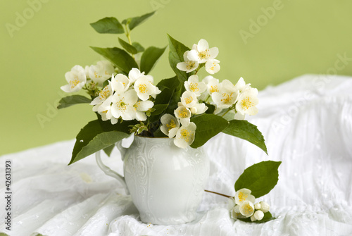 натюрморт с жасмином