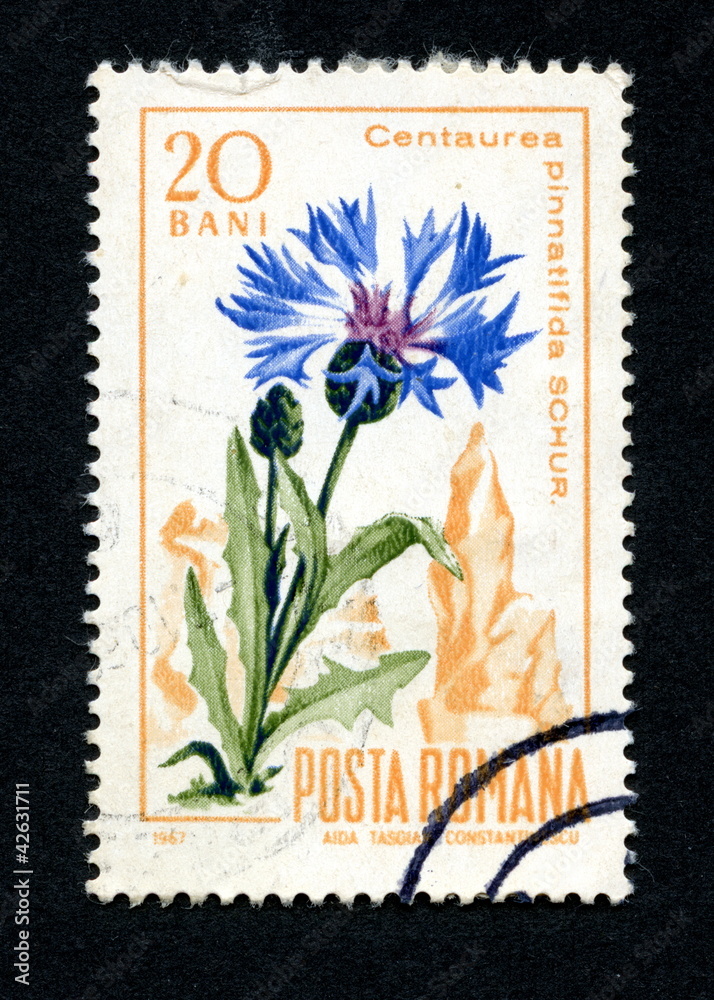Canceled romanian stamp Canceled romanian stamp
