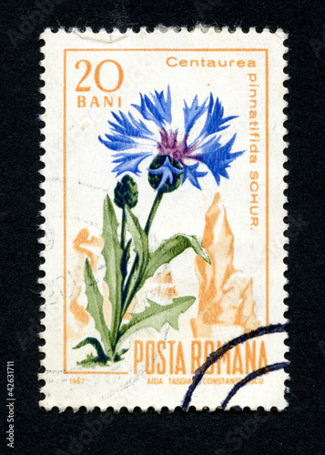 Canceled romanian stamp "Centaurea pinnatifida"