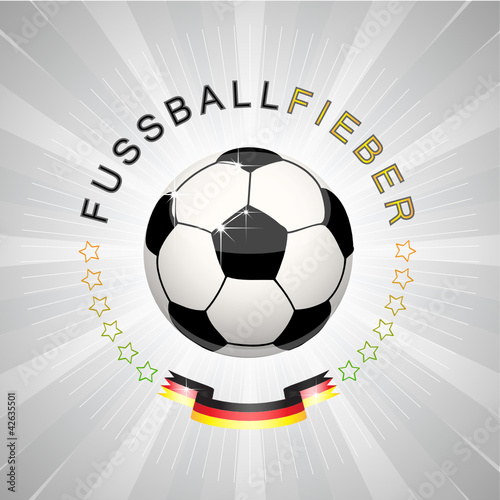 fussballfieber de