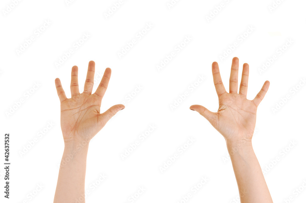 Hands of a girl. Hands of a girl.