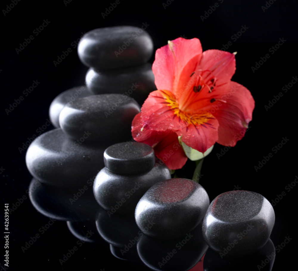 Fototapeta Zdrojów kamienie i czerwony kwiat na czarnym tle