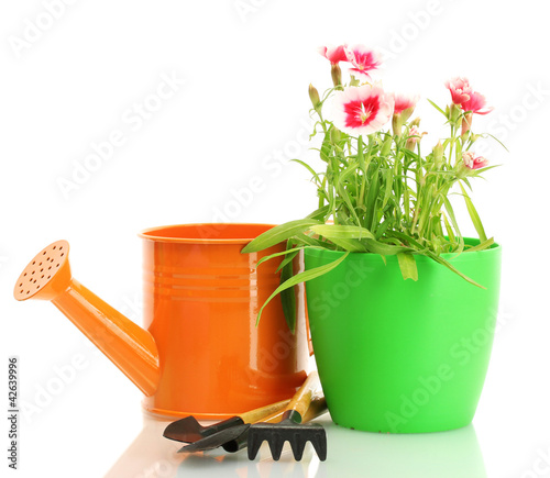 watering can, tools and plant in flowerpot isolated on white