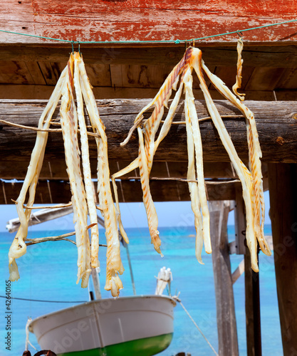 Quadro em tela dried fish peix sec typical food in Mediterranean