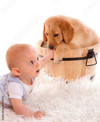 Bebe De 7 Mois Et Chiot Labrador Stock Photo Adobe Stock
