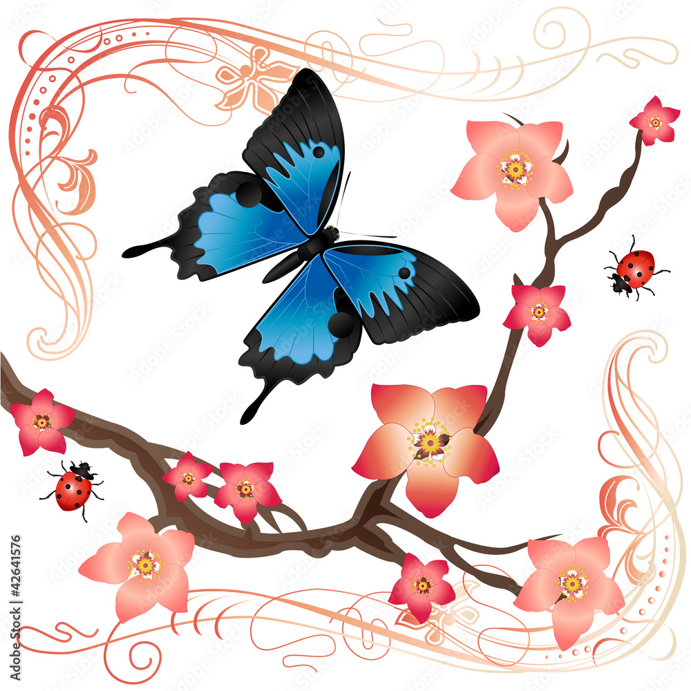 Fototapeta premium Summer card