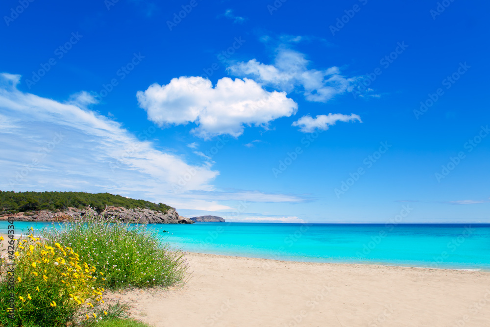 Cala Nova beach in Ibiza island with turquoise water