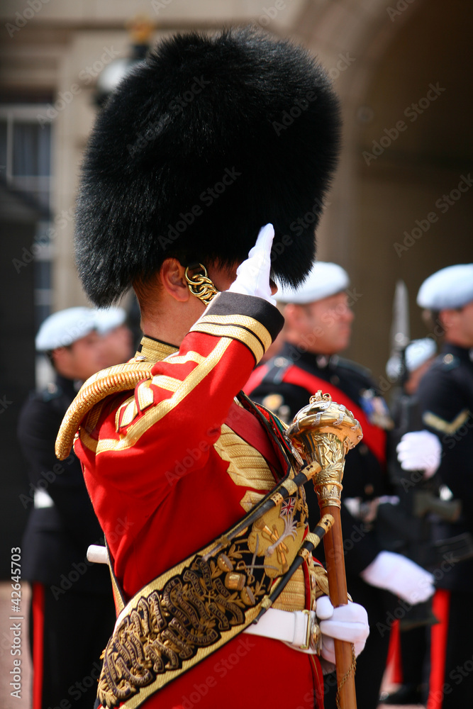 Il cambio della guardia a Buckingham Palace