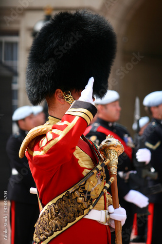 Il cambio della guardia a Buckingham Palace