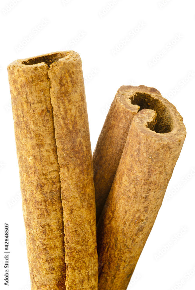 Cinnamon Cinnamon