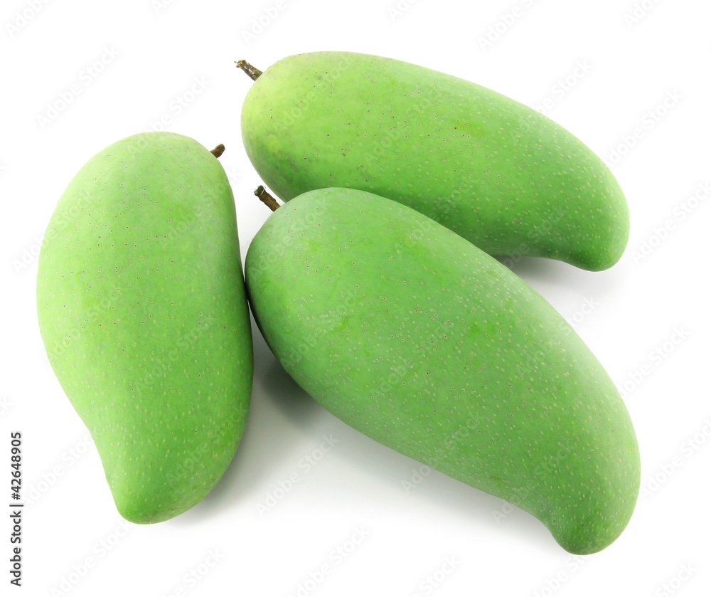 Green mangoes isolated on a white background Green mangoes isolated on a white background