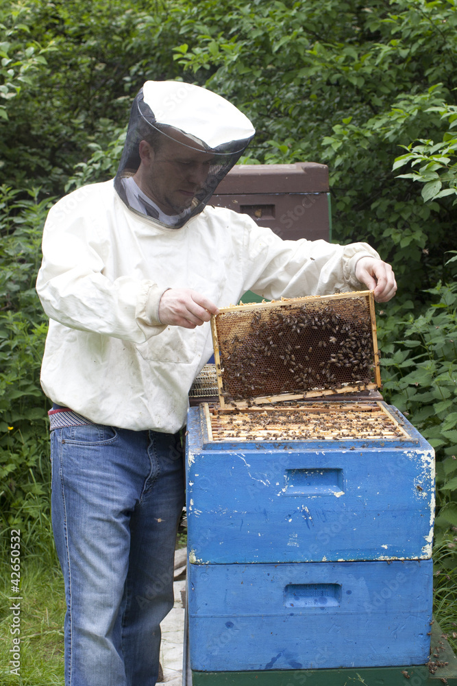 Imker mit Bienen Imker mit Bienen