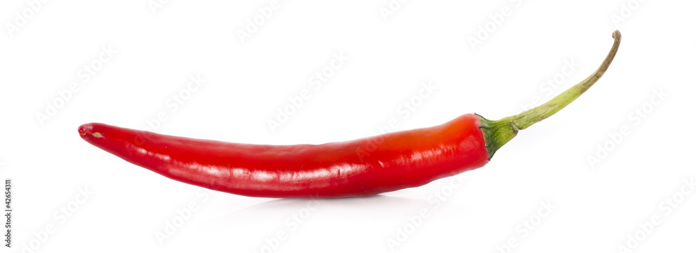 Red hot chili pepper on a white background