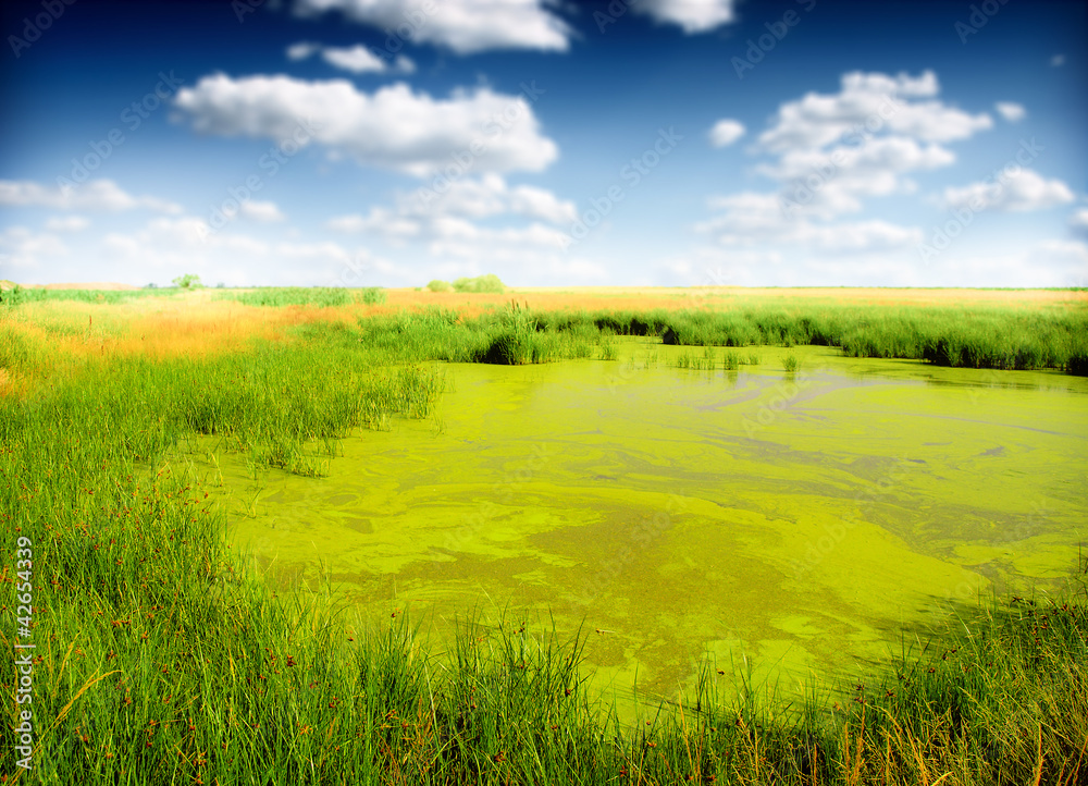Fototapeta premium Landscape with small lake