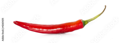 Red hot chili pepper on a white background