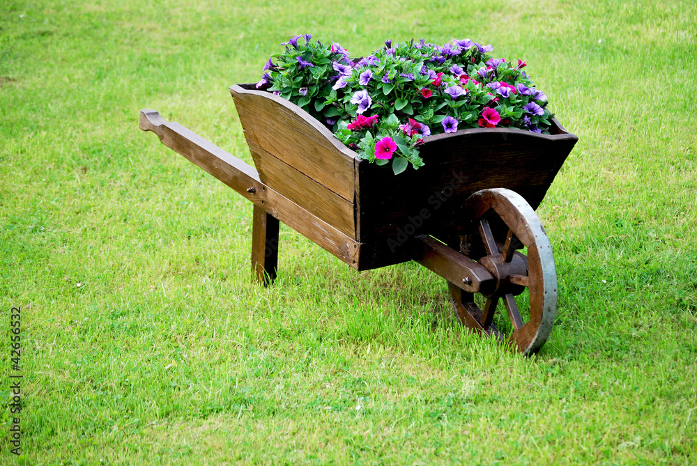 Fotografie Alte Schubkarre als Gartendekoration