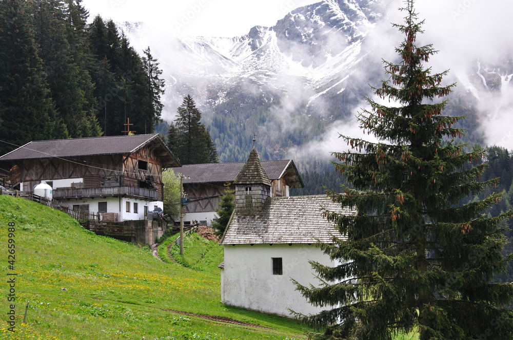 Alm Videgg bei Meran, Südtirol