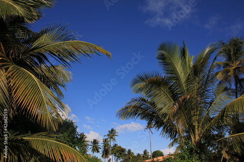 Guyane - Les Salines