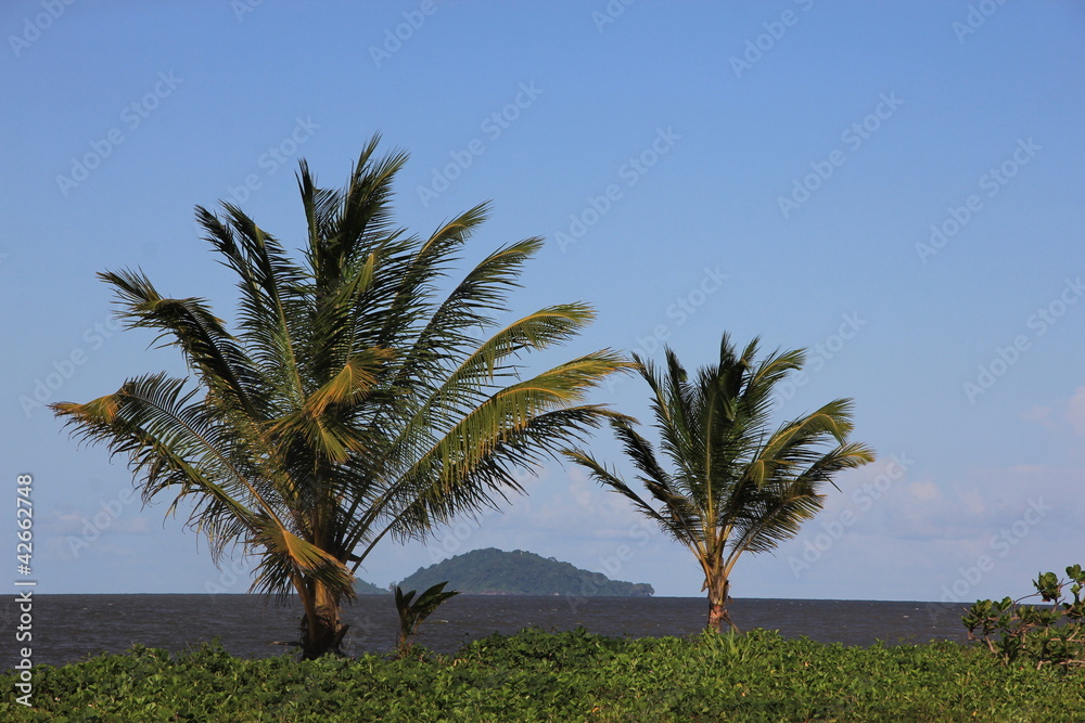 Guyane - Les Salines