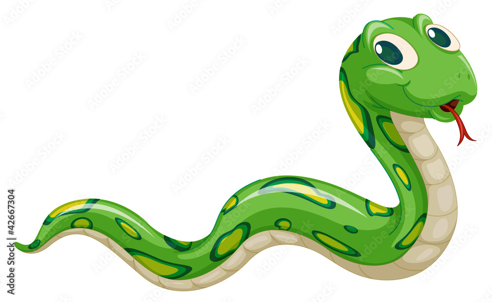 Fototapeta premium snake