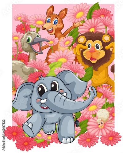 various animals