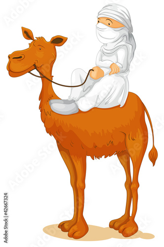 camel