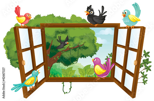 various birds