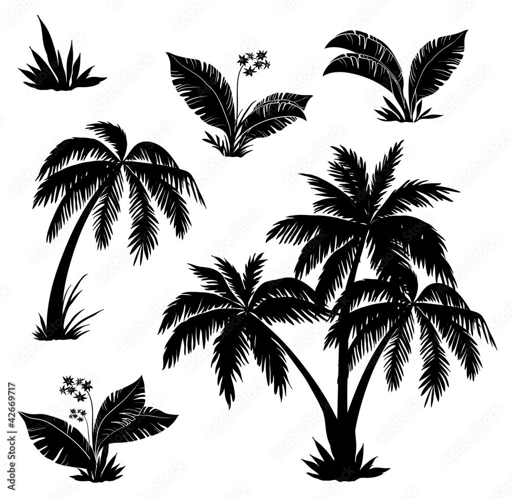 Palm trees, flowers and grass, silhouettes