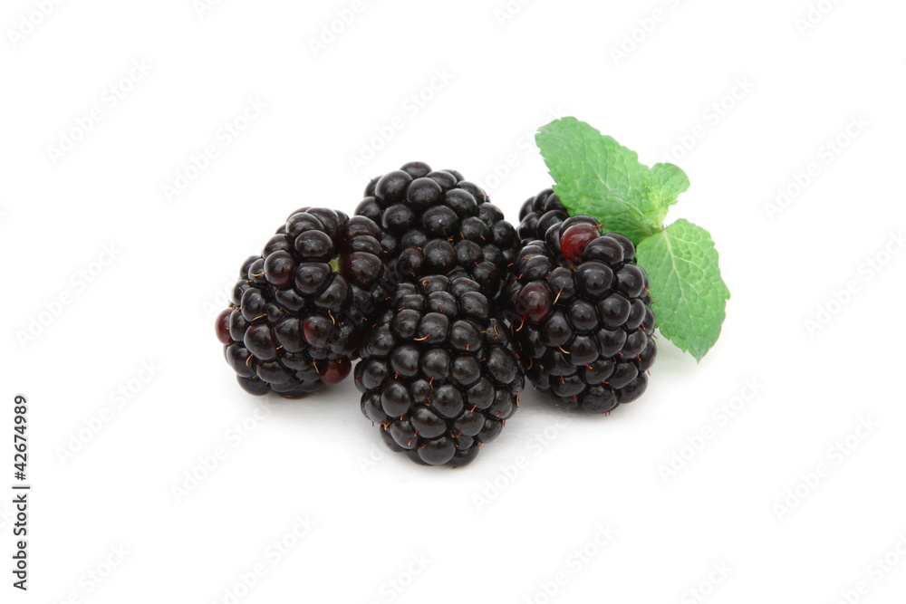More - Blackberries More - Blackberries
