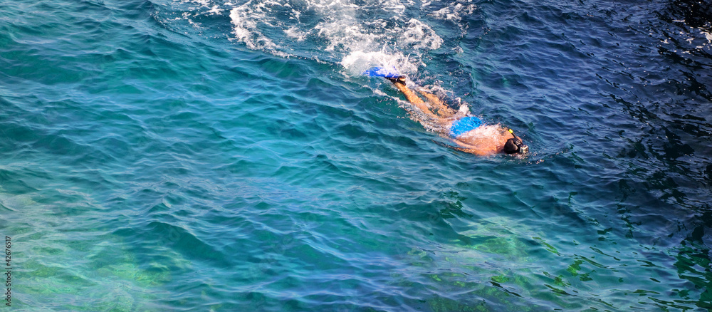 snorkeling  in ligurian sea