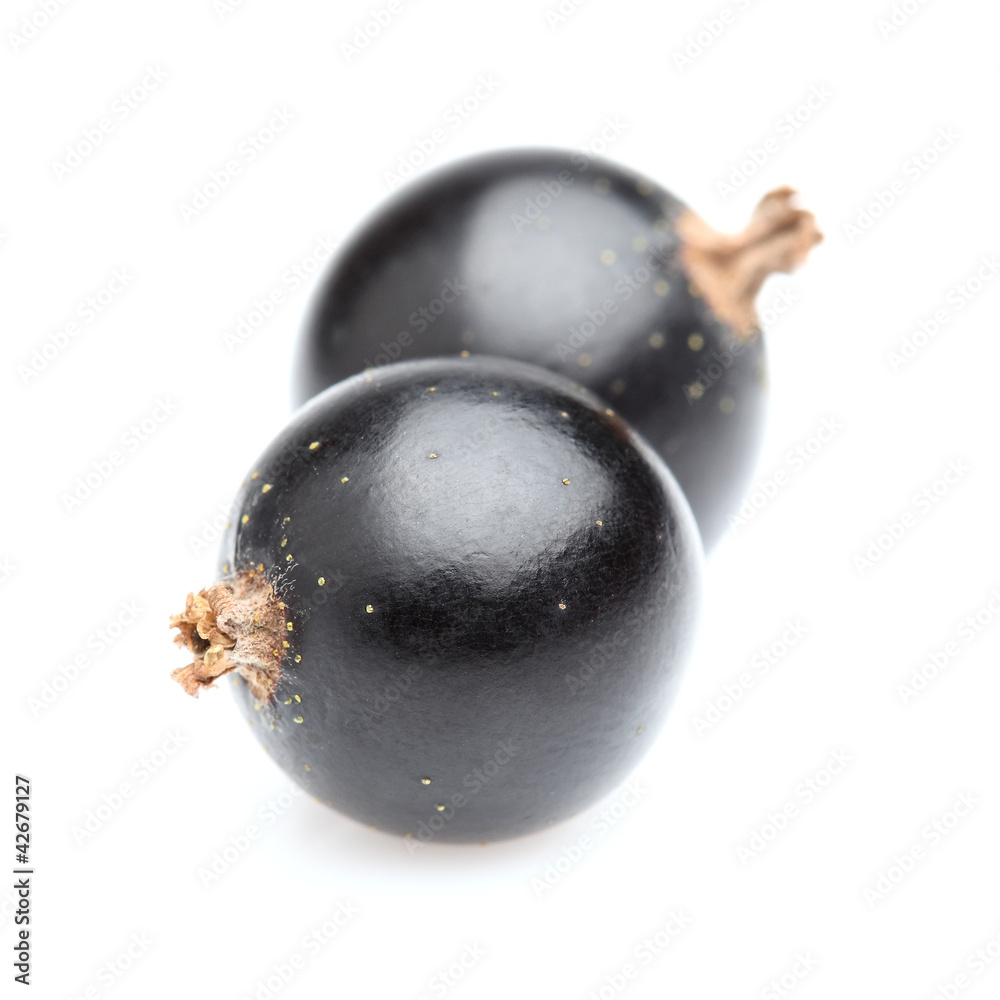 Blackcurrant in closeup Blackcurrant in closeup