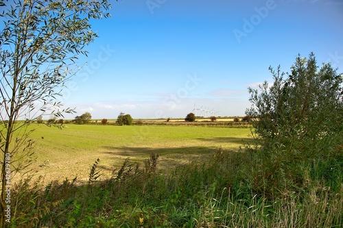 Landschaft am Nordseedeich photo