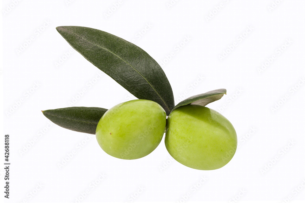 Obraz premium Olive