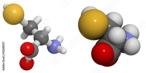 Selenocysteine (Sec, U) molecule photo