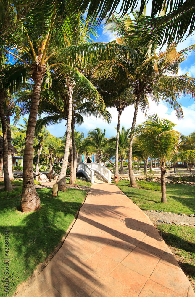 Fototapeta premium Area of hotel Melia Cayo Guillermo.