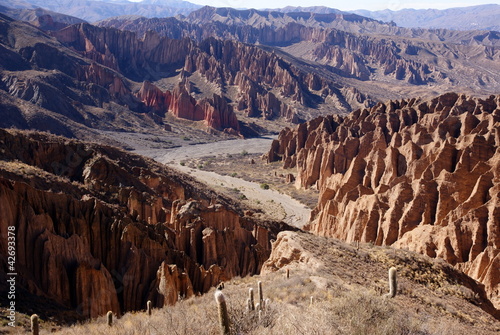 Desert, andean landscape with canyon, Tupiza, Bolivia photo