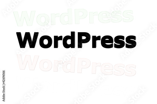 Obraz na plátně Letrero wordpress