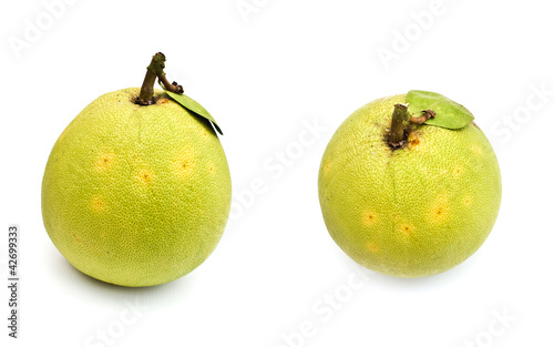 Two grapefruit isolated on white background,
