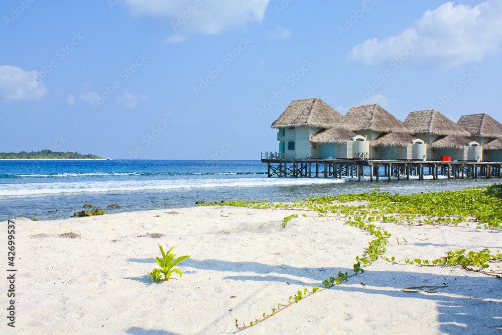 Obraz premium Tropical beach bungalow
