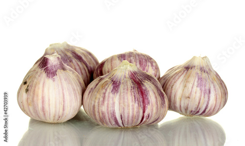 young garlic isolated on white background