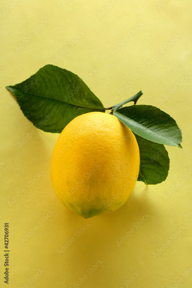 A single lemon with leaves on yellow background